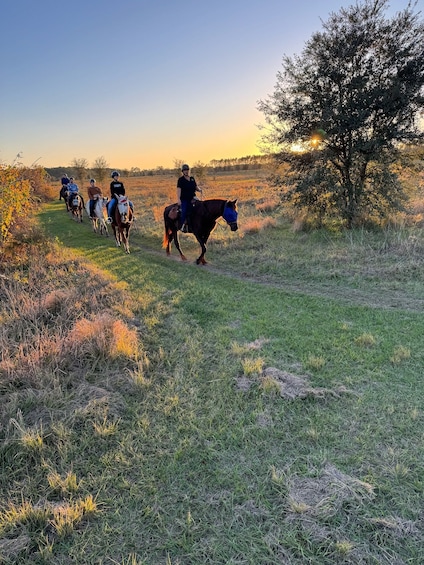 Horseback Trail Ride