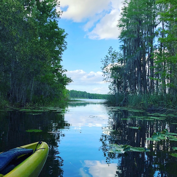 Guided Eco-Paddle