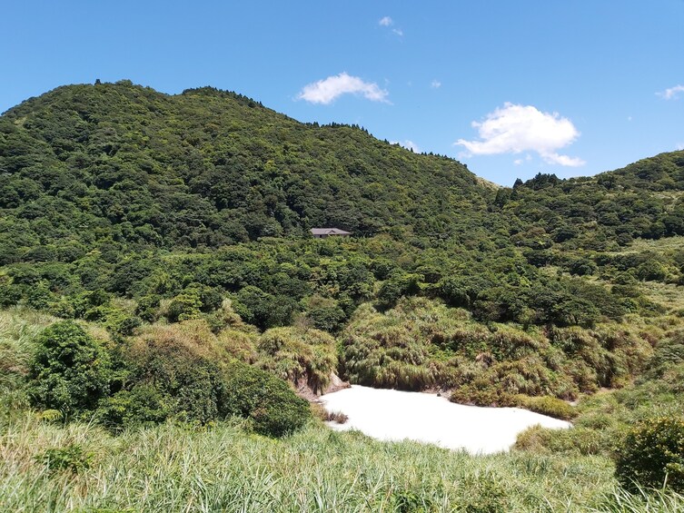 Beitou and Yangmingshan National Park Day Tour from Taipei