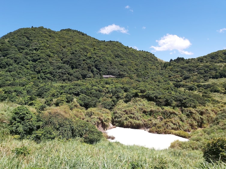 Beitou and Yangmingshan National Park Day Tour from Taipei