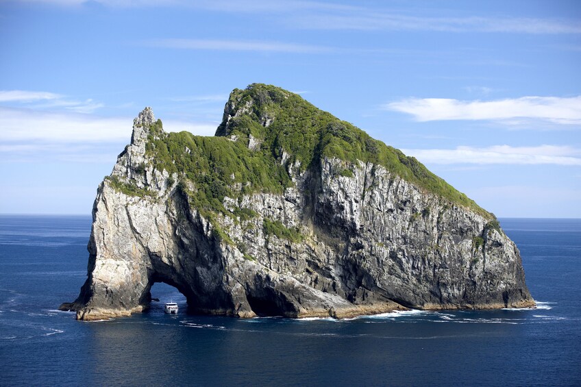 Motukokako Island in New Zealand