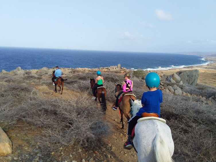 Fun 4 Kids Horseback Riding 