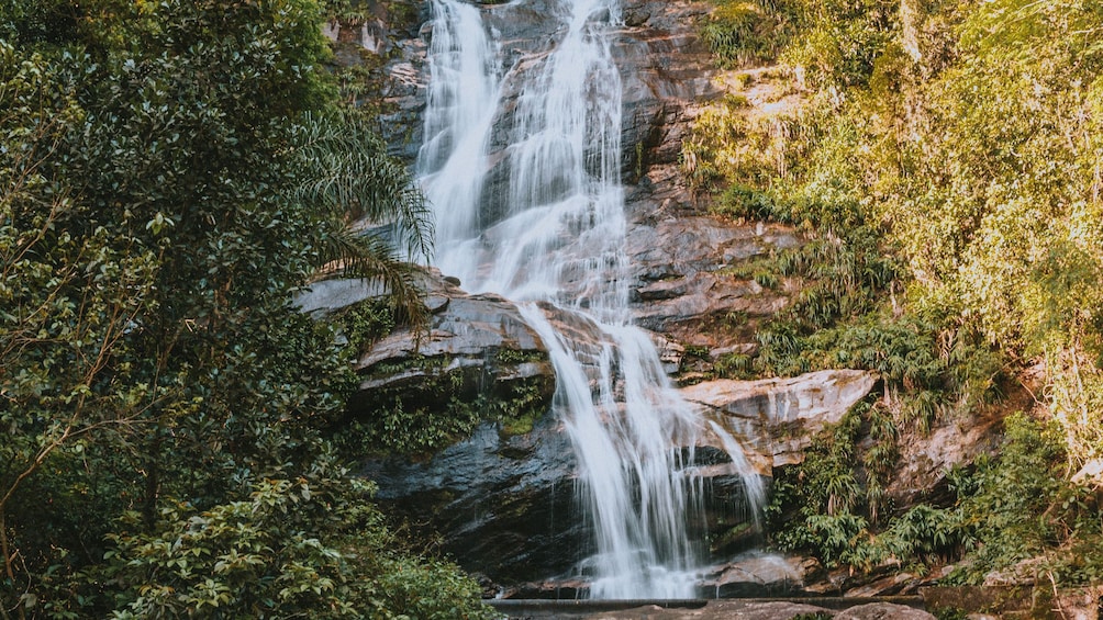 Tijuca Forest and Botanical Garden