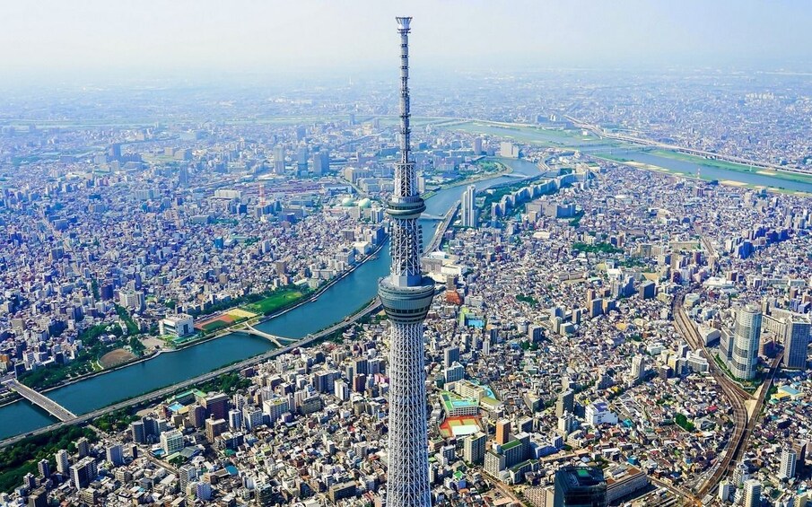 Must See Tokyo in a Day 