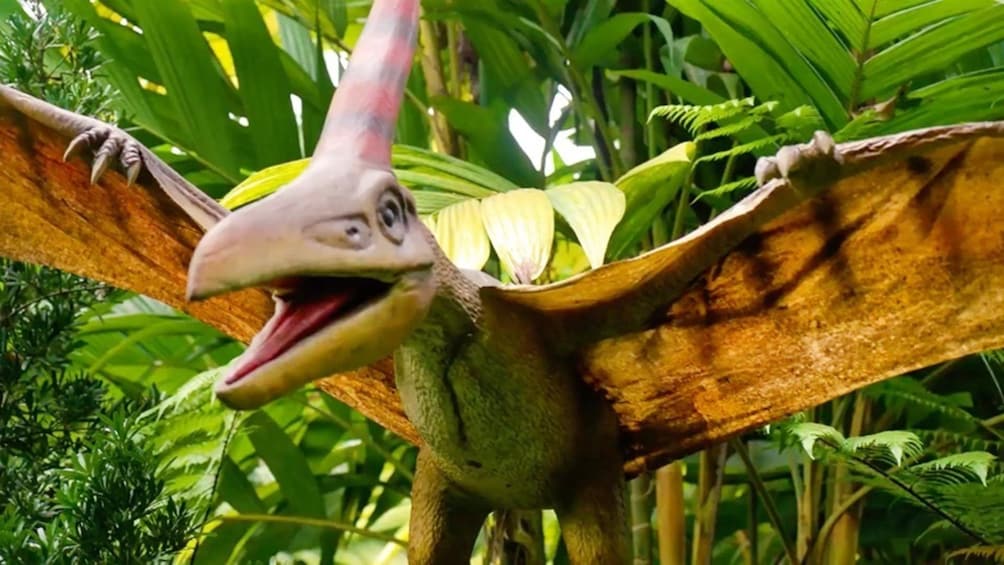 Singapore Zoo Ticket with Hotel Pickup