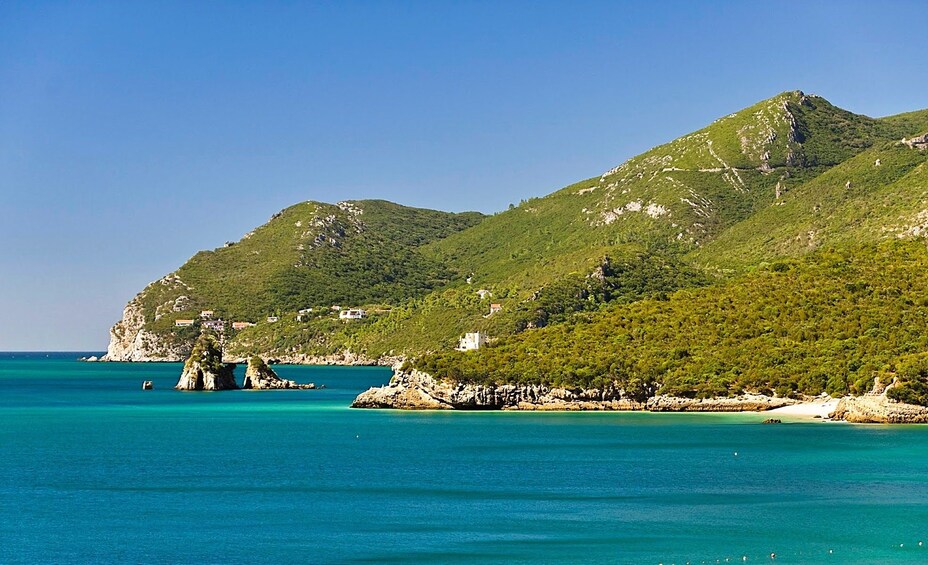 Sesimbra fishing village, Arrábida mountain & wine tasting