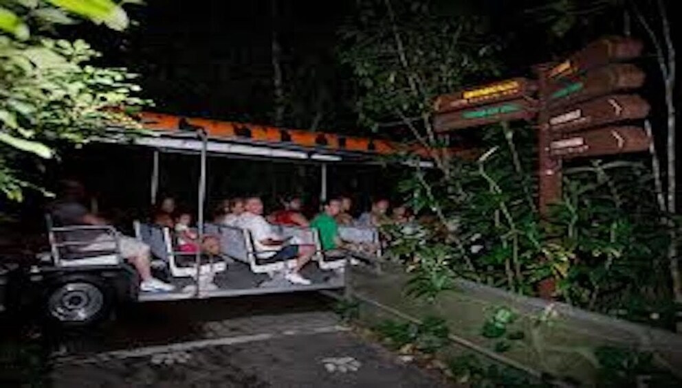 Night Safari with Hotel Pickup