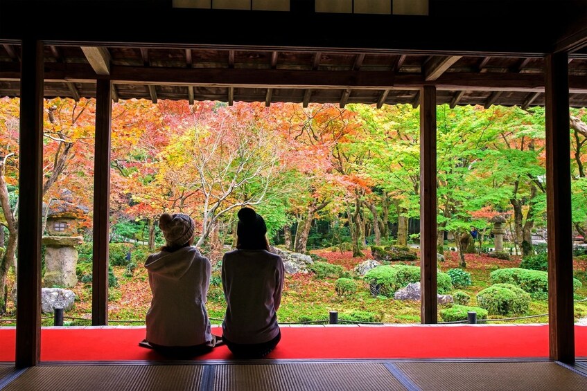 Visit Arashiyama's Bamboo Grove in Kyoto