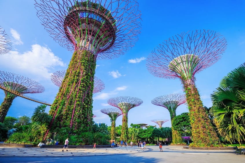 Must see Singapore in a day