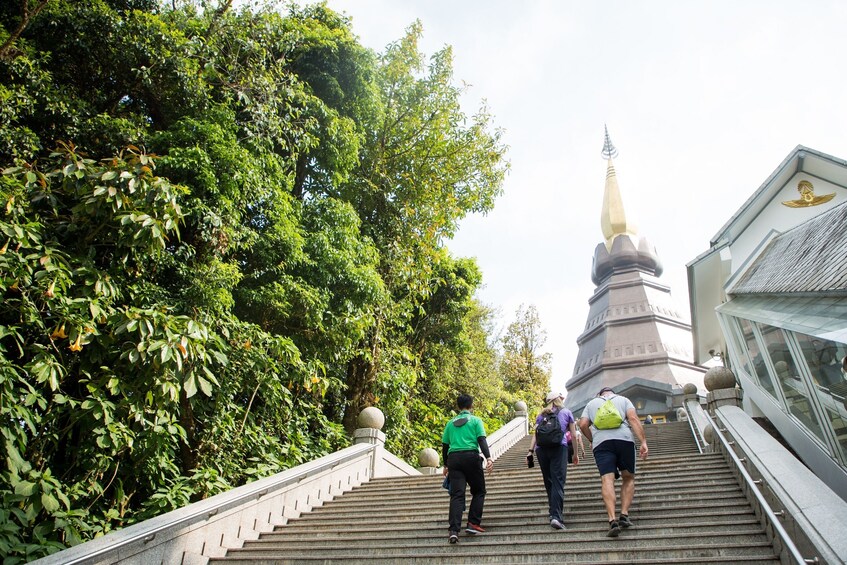 Doi Inthanon National Park Small Group Tour