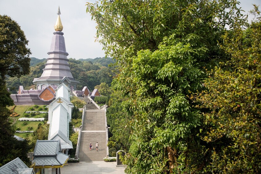 Doi Inthanon National Park Small Group Tour
