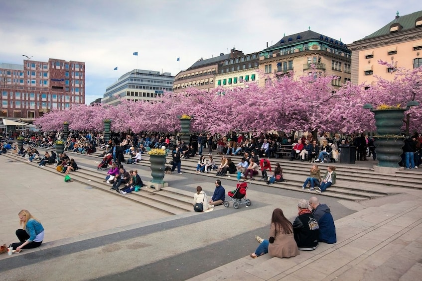 Stockholm's Best Kept Secrets: Private & Personalized