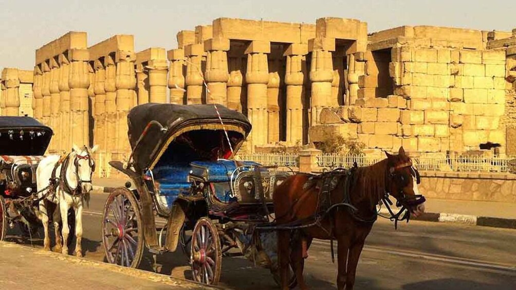 Luxor City Tour By Horse Carriage