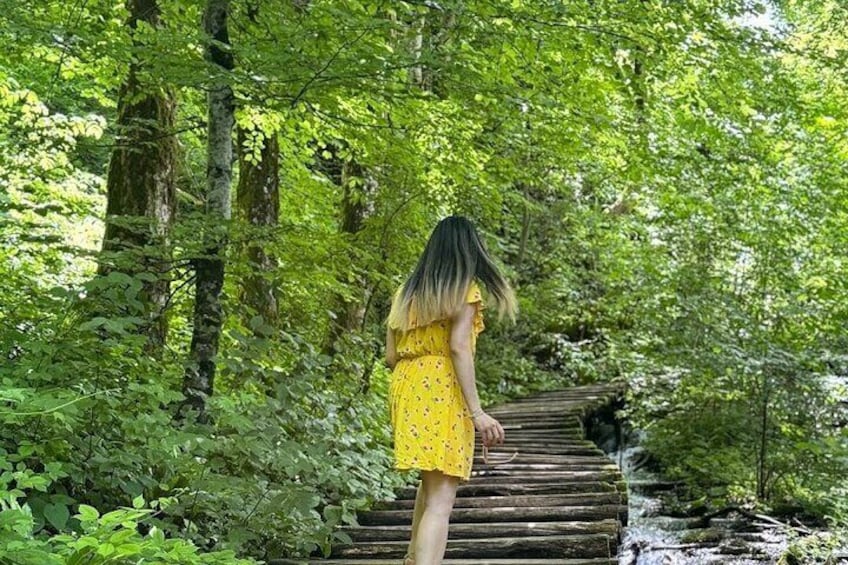Zadar to Plitvice lakes: Guided tour with pre-booked tickets