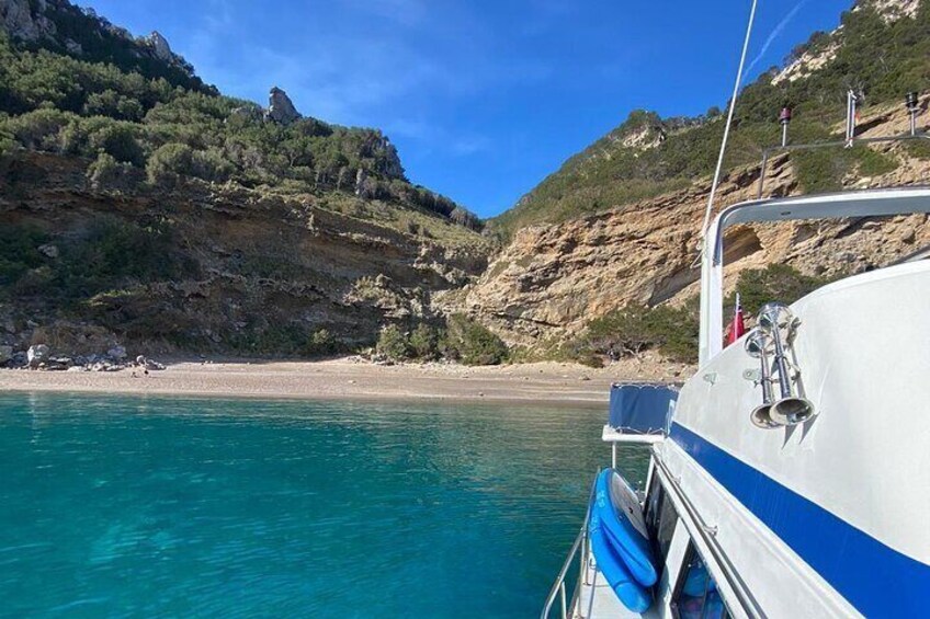 4 hour Cruise with Drinks, Tapas, SUP & Snorkel