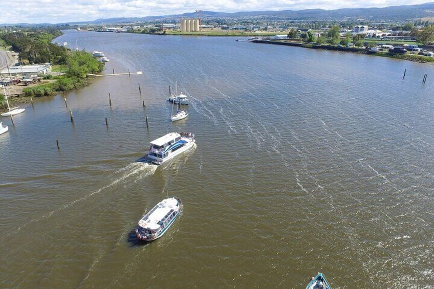 2.5 Hour Morning Discovery Cruise including sailing into the Cataract Gorge