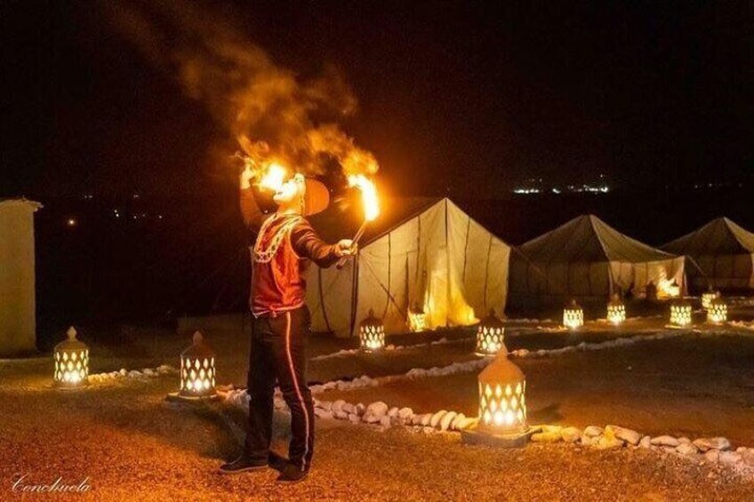 Desert D'Agafay Package - Quad, Dromedary and Dinner Show