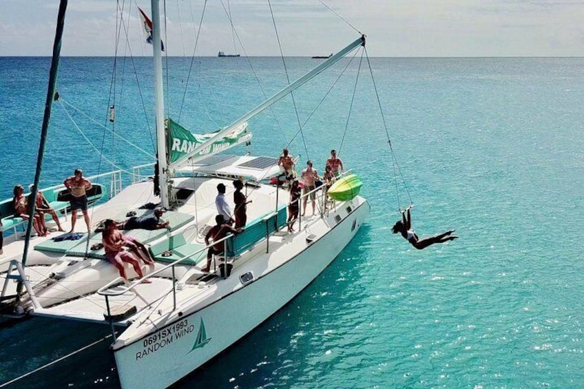 The All Ages Tarzan Swing