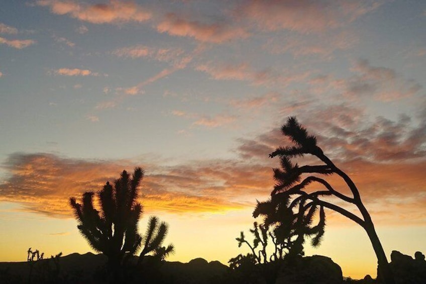 Joshua Tree Hummer Adventure from Palm Desert