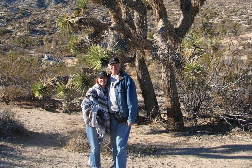 See amazing Joshua Trees.