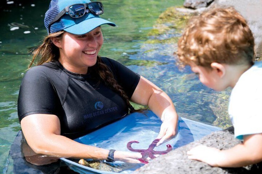 Interactive and engaging presentations are included with Aquarium admission.