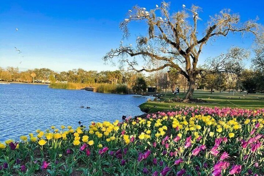 Big Lake / City Park