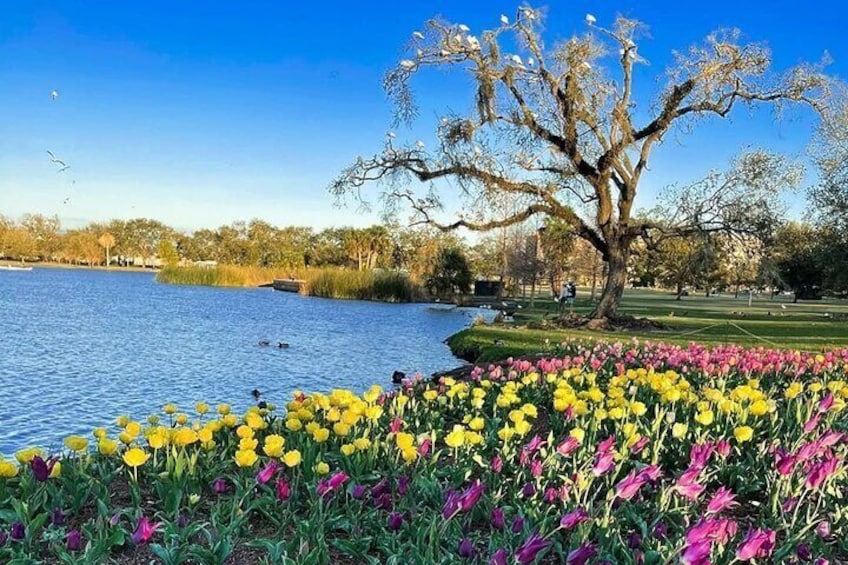 Big Lake / City Park