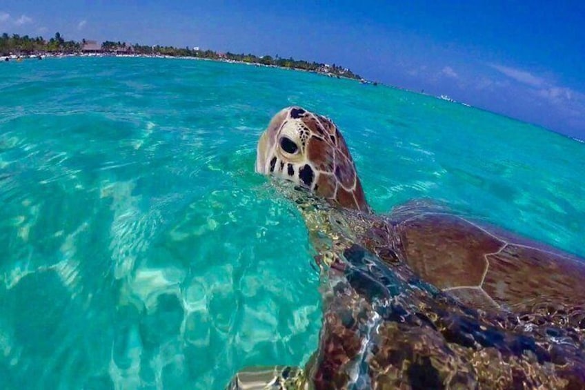 Snorkel St. John's National Park