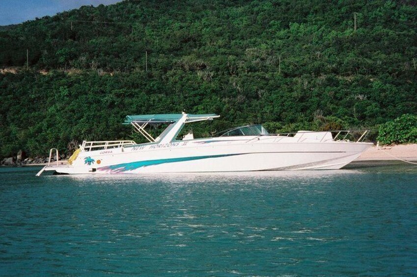 Snorkel St. John Tour from Sapphire & Margaritaville