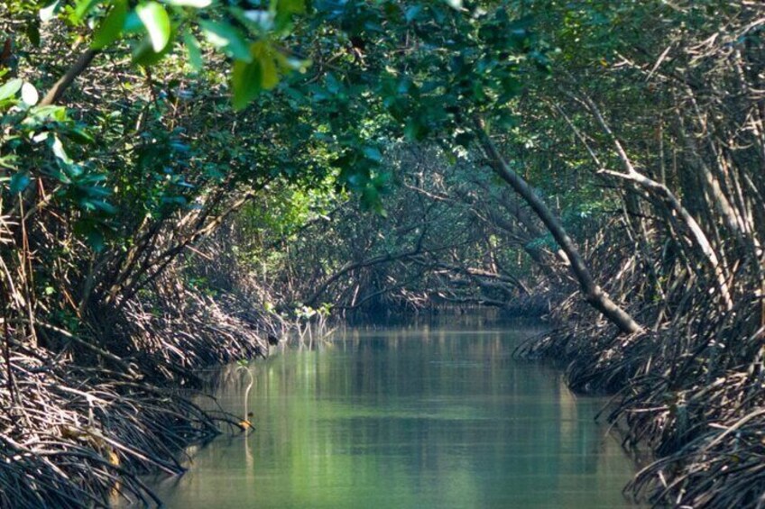 Cas Cay - Kayak Hike and Snorkel Adventure