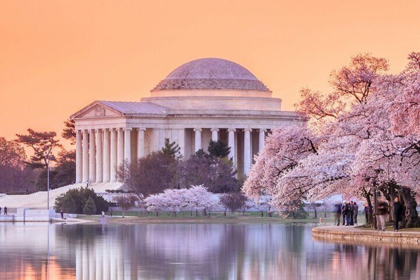 DC Monuments with River Cruise, Cherry Blossoms, Entry Tickets