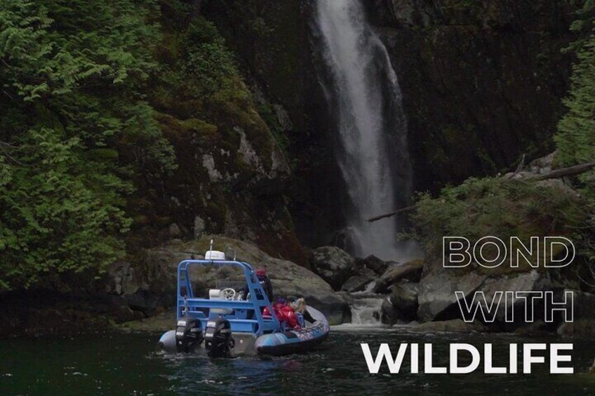 Granite Falls Zodiac Tour by Vancouver Water Adventures