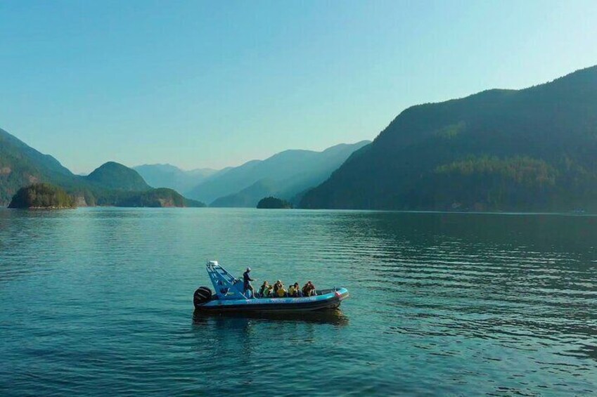 The Glacial Fjord