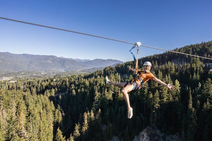 Zipping above the trees