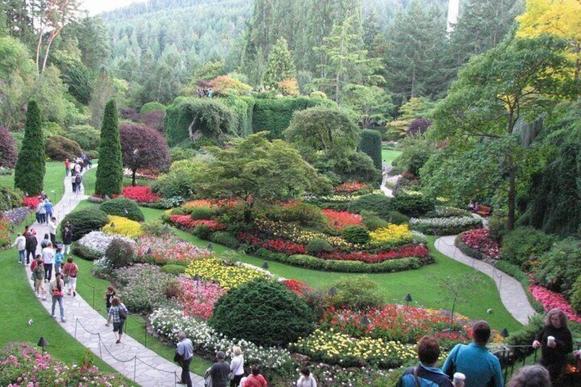 Butchart Gardens