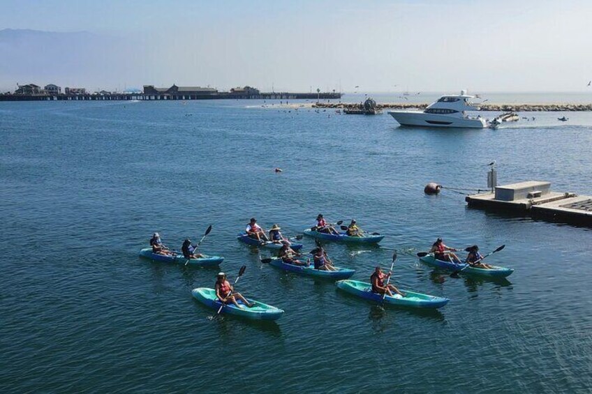 group kayak tour in santa barbara venturing into the harbor