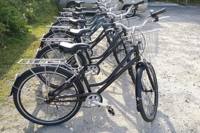 Raleigh bicycle we use