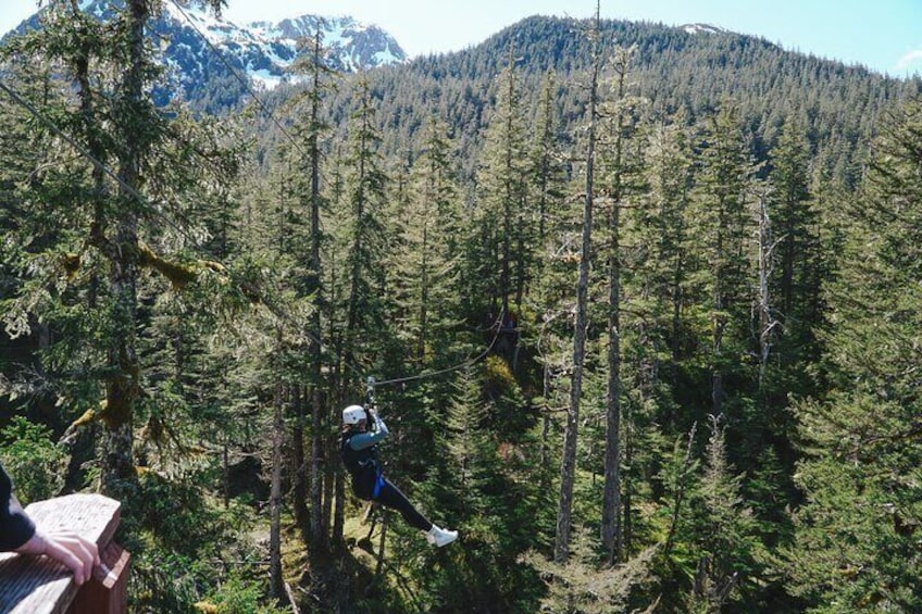 Alpine Zipline Adventure in Juneau, AK