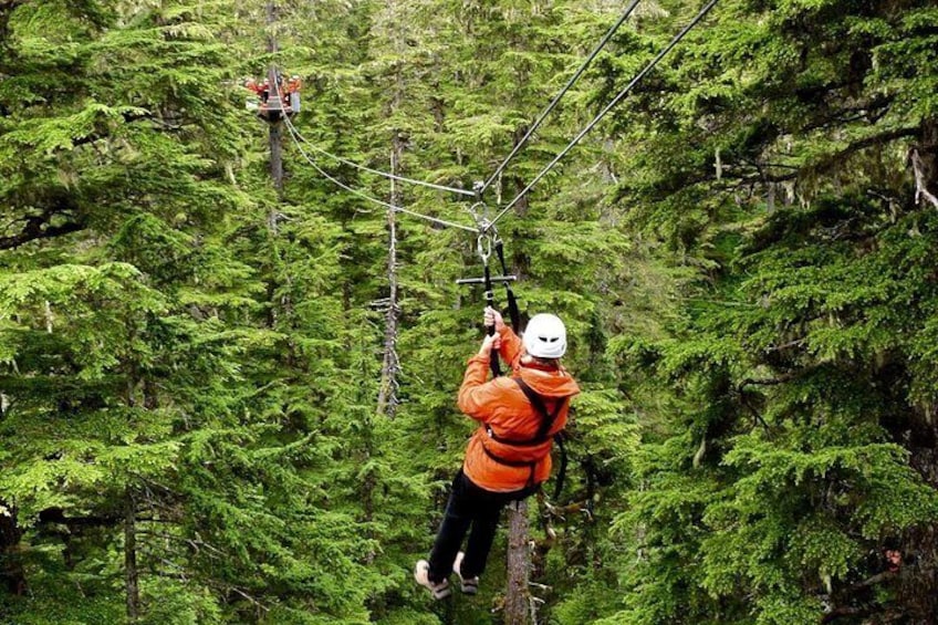 Zipline in Juneau!