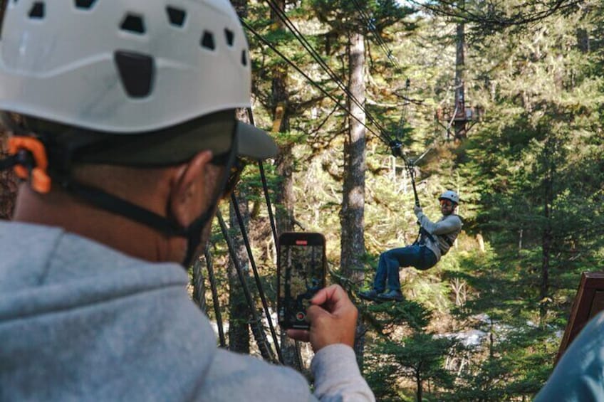Alpine Zipline Adventure in Juneau, AK