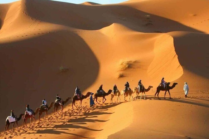 Desrt tour from Marrakech