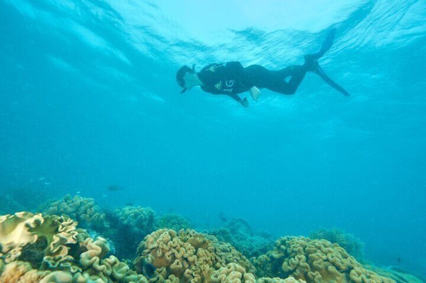 Snorkelling "WonderWall" - Upolu Reef