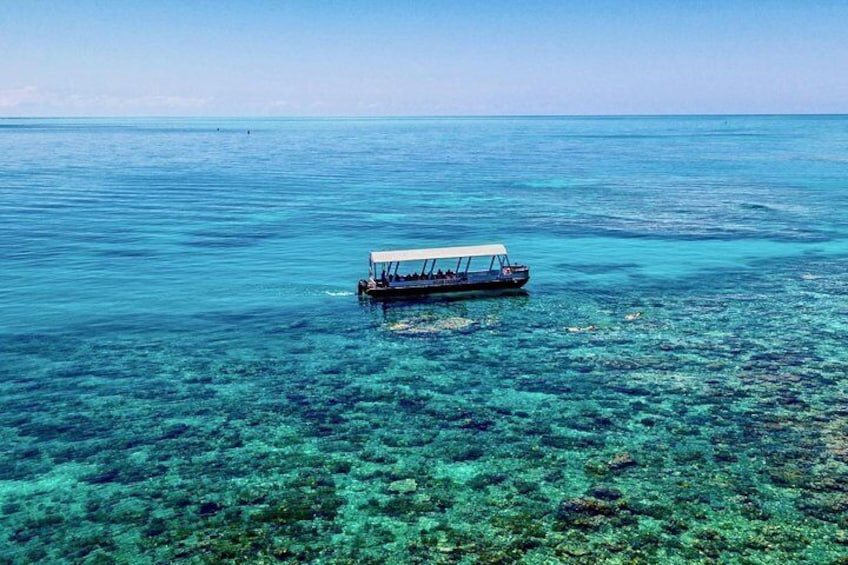 Glass Bottom Boat Tour
