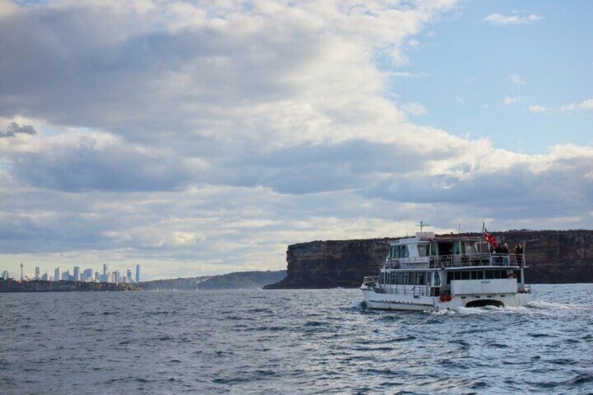 Sydney Whale-Watching Cruise Including Lunch or Breakfast