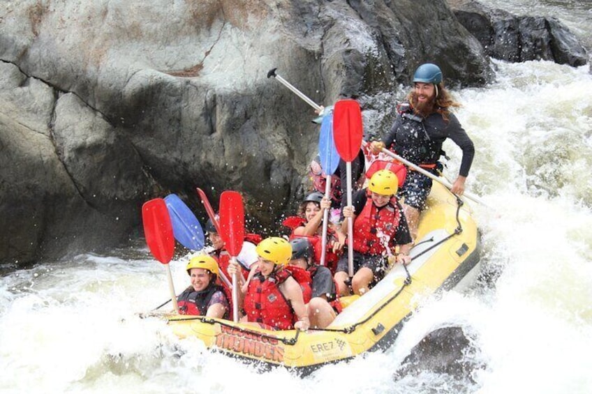 Scenic Aerial Shot of Group White Water Rafting the Barron Gorge National Park River