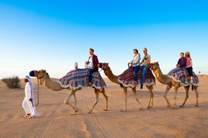 Standard Desert Safari, camel ride, BBQ Dinner, Belly Dance Show, Pick & Drop 