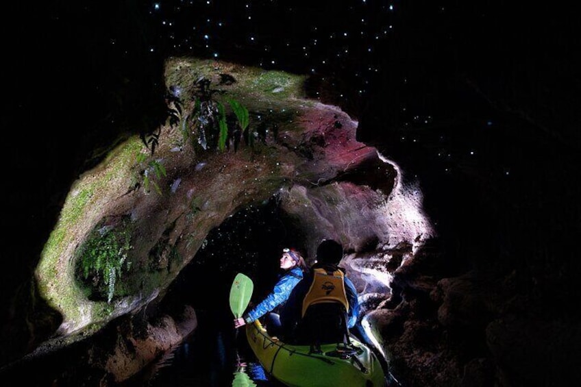 Kayaking while immersed by nature, a must do experience