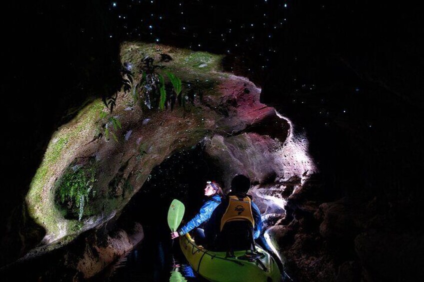 Kayaking while immersed by nature, a must do experience