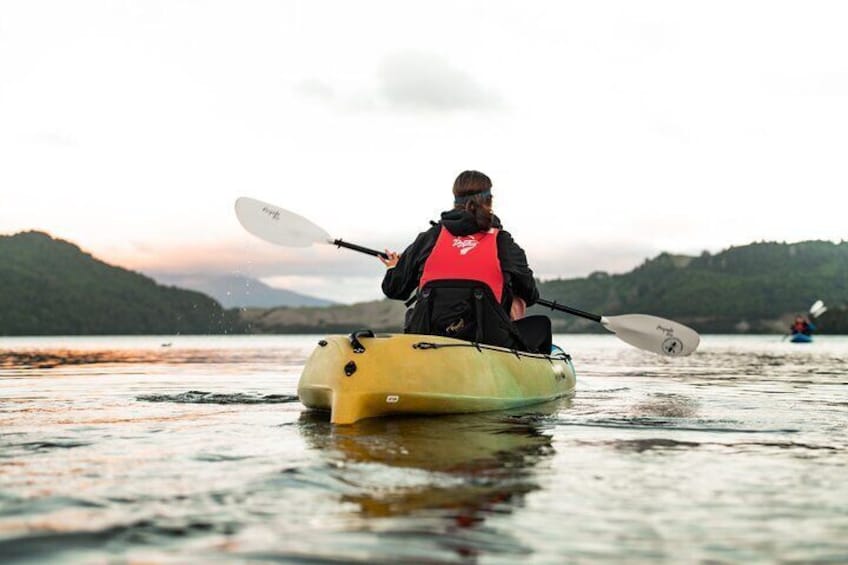 Gentle kayaking makes this activity suitable for all ages, no experience needed