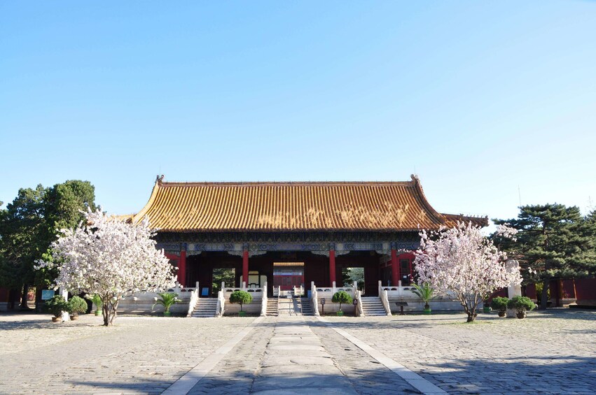 Private Tour: Great Wall at Badaling & Ming Tomb with Lunch